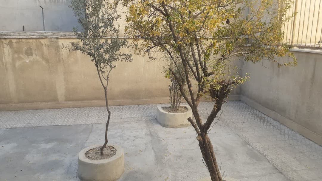 تصویر مقاله